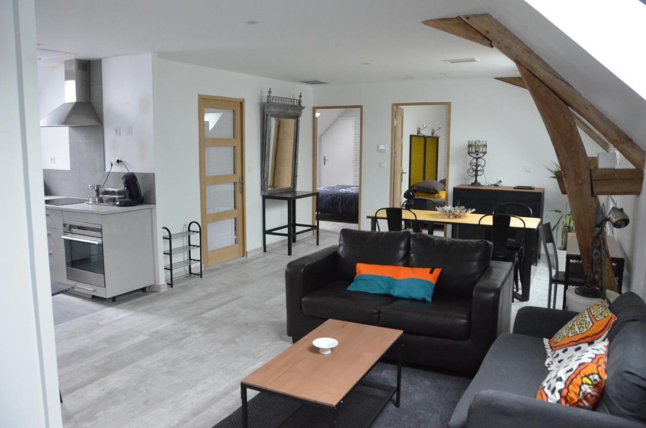 Apartment Habitation Style Industruel Josnes